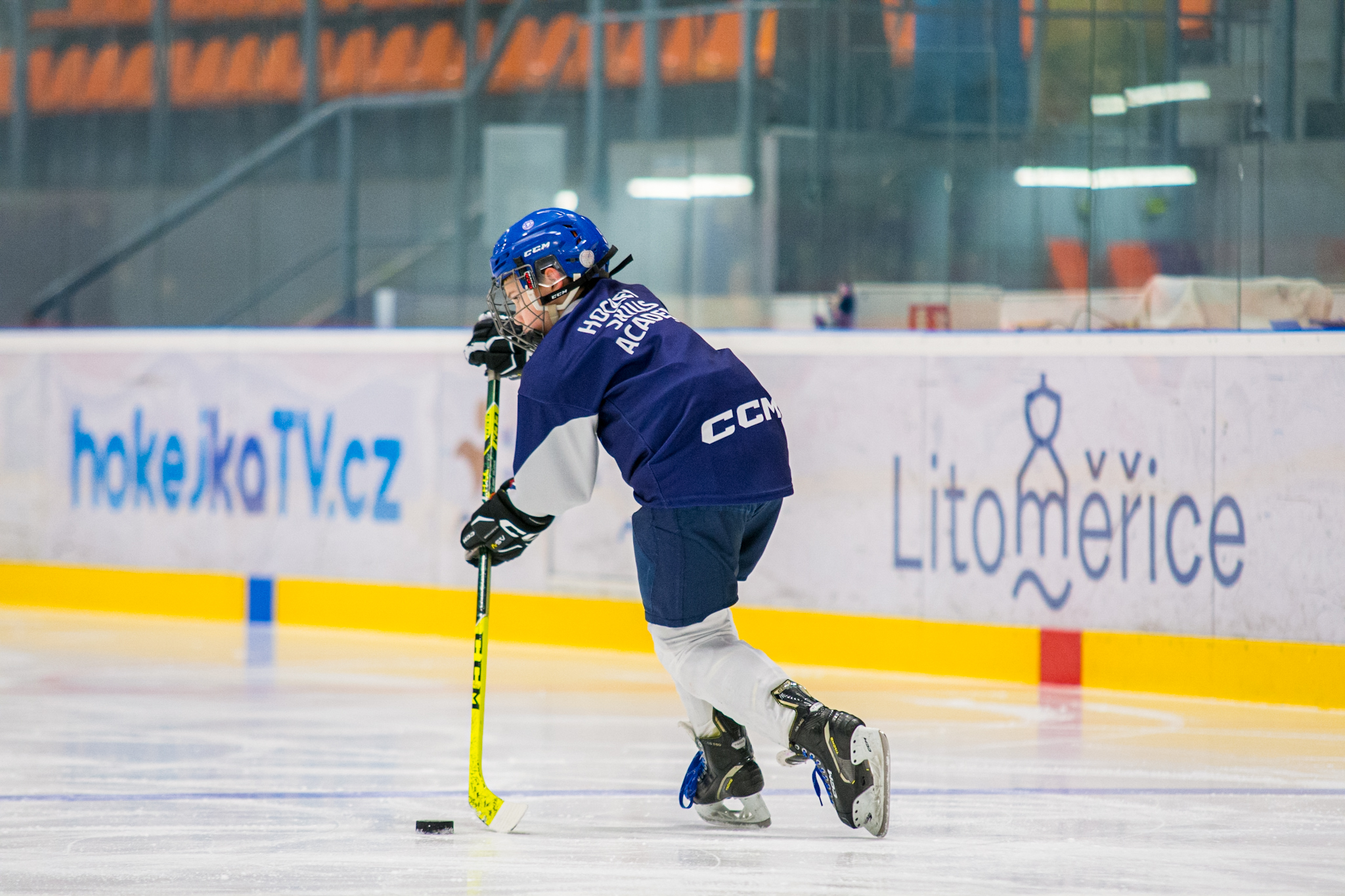 North Star Development Program